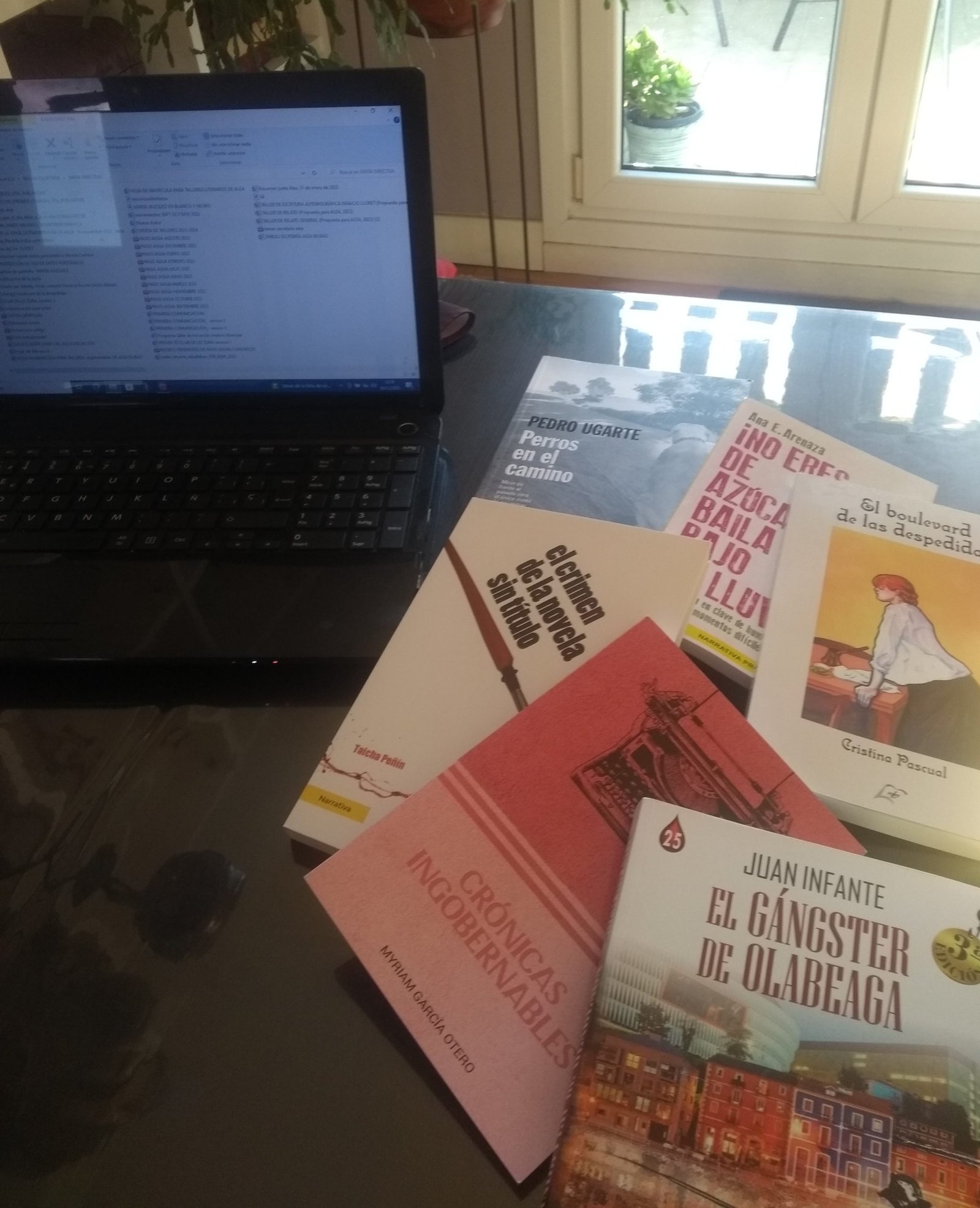 Taller de novela corta