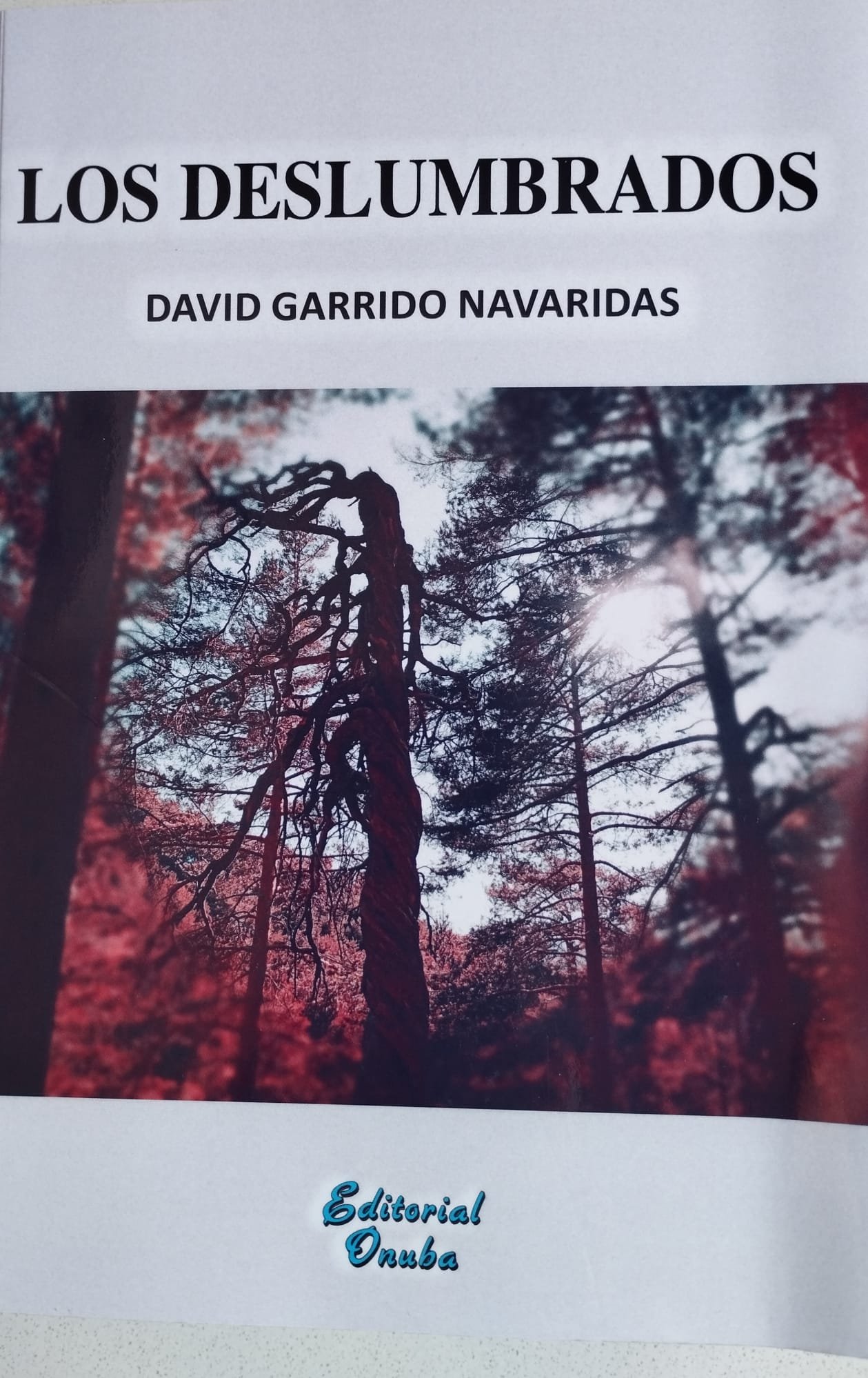 Los Deslumbrados. Entrevista con David Garrido Navaridas